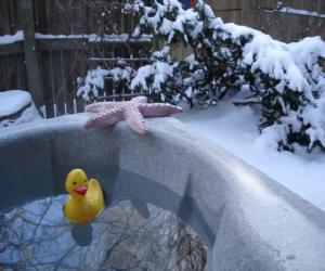 Hot Tub at Ann Arbor Bed and Breakfast Inn on Michigan campus